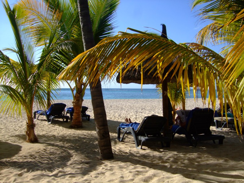 Mauritius 2010 - 0071 